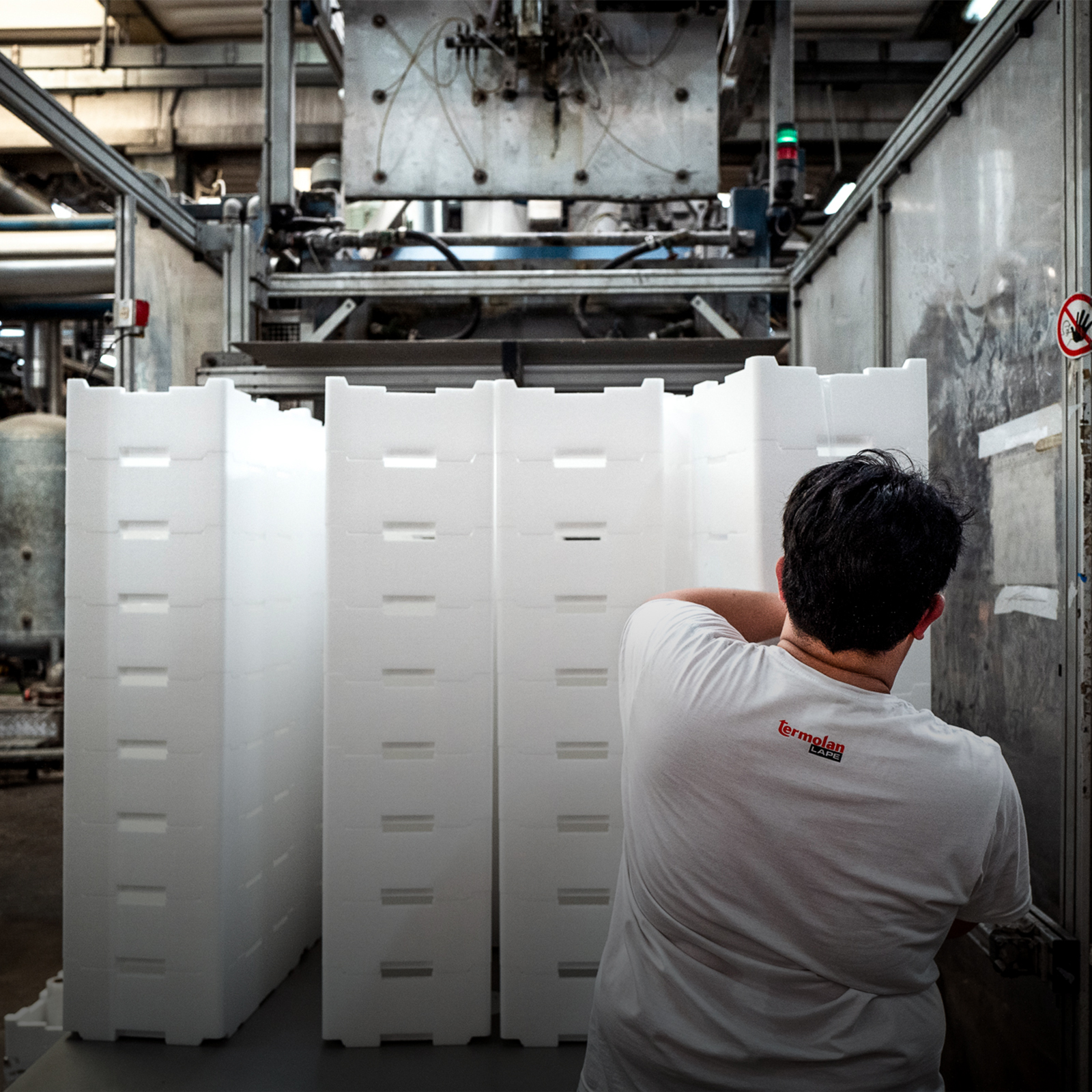 TERMOLAN cassette alimentari in polistirolo