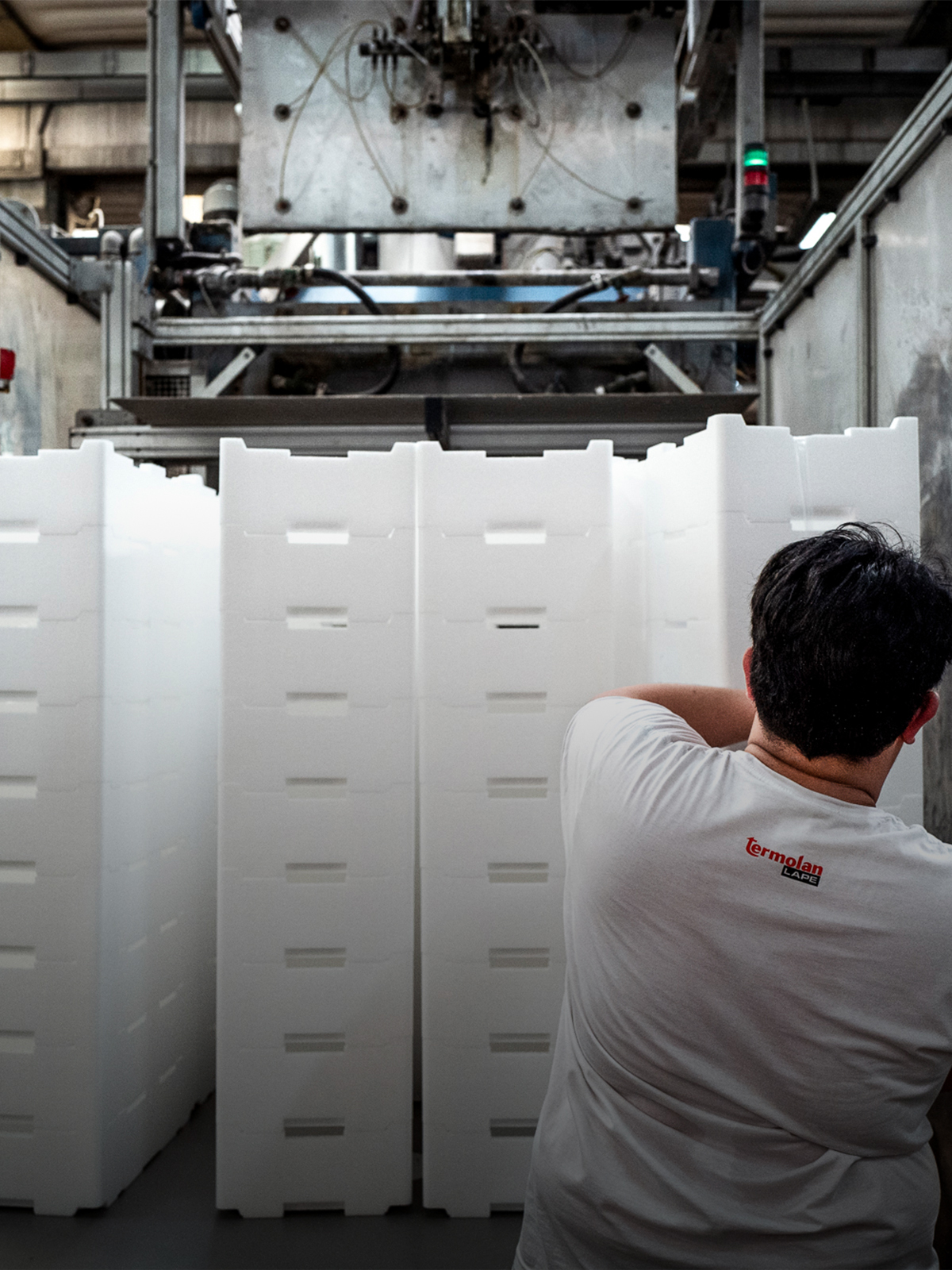 TERMOLAN cassette alimentari in polistirolo