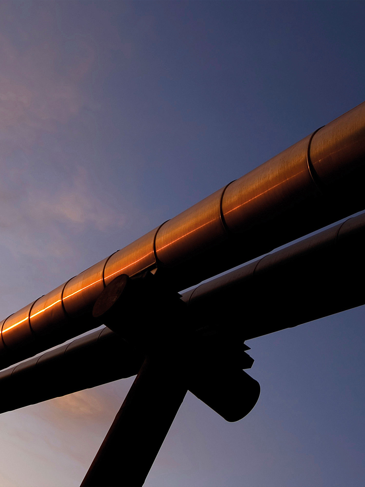 TERMOLAN business unit Industria: isolamento impianti